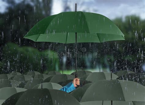 Person Holding Umbrella Over Other Under Heavy Rain Outdoors Stock ...