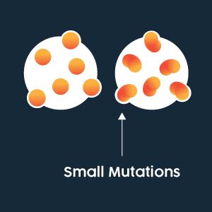 Antigenic Drift vs Antigenic Shift | Technology Networks