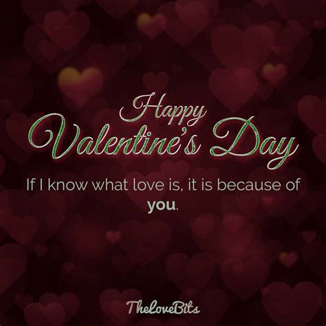 50 Valentine's Day Quotes for Your Loved Ones - TheLoveBits