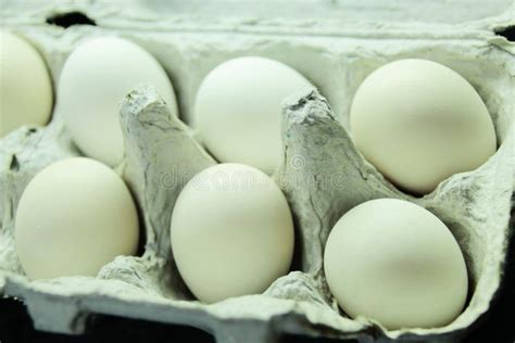 BANTAM CHICKEN EGGS stock image. Image of varies, easter - 244677133