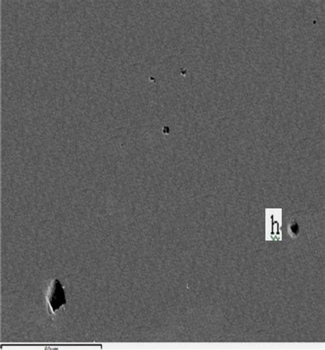 The morphology and composition of the inclusions in each sample ...