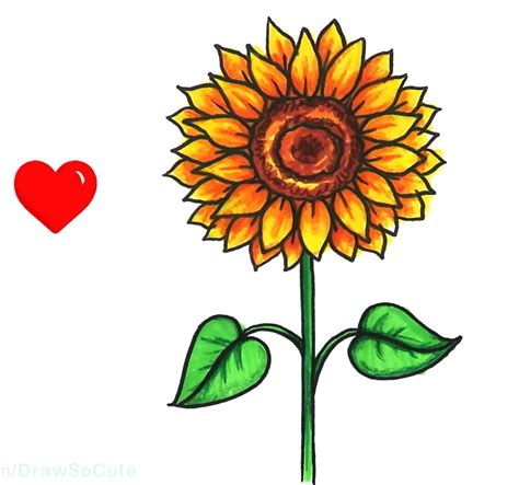 8+ Easy To Draw Sunflowers - AnnmarieSkylah