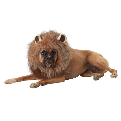 King of the Jungle Lion Halloween Dog Costume | BaxterBoo