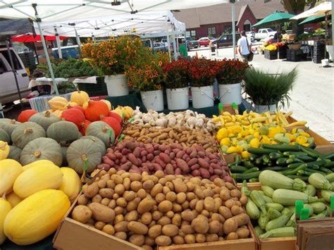 Santa Cruz Farmers' Market has permission to find permanent home – KION546