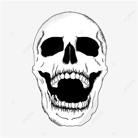 Skull Draw PNG Image, Skull Drawing, Skull, Drawing, Cartoon PNG Image ...