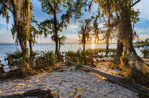 11 Best State Parks in Louisiana You Must Visit - Southern Trippers