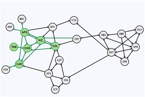 Free Editable Sociogram Examples | EdrawMax Online