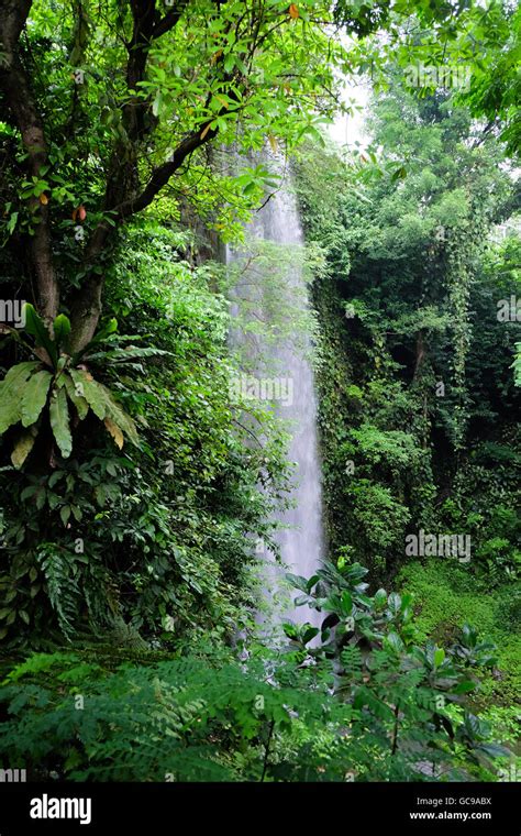 Waterfall in Singapore Bird Park Stock Photo - Alamy