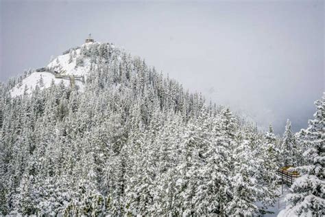 18 Easy Winter Hikes in Banff and Area - Travel Banff Canada