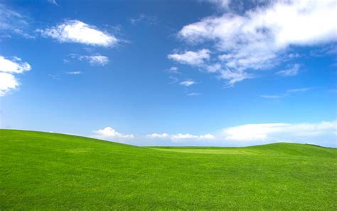 USDA Conservationist Recognizes Iconic Microsoft “Wallpaper” from Field Work | USDA