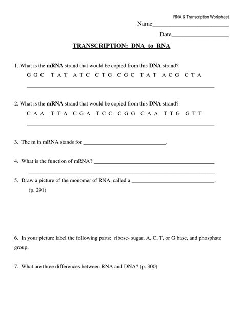 Dna Transcription And Translation Worksheet