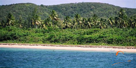 The Amazing Beaches of Vieques… One of the Islands of Puerto Rico | Vieques