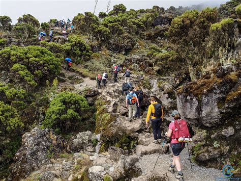 How Long Does it Take to Climb Mount Kilimanjaro?