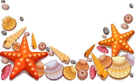 Portable Network Graphics Clip art Vector graphics Seashell Illustration - seashell clipart png ...