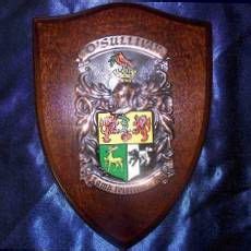 Family coat of arms on Pinterest