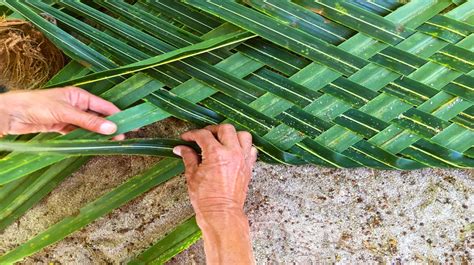 Bentota Attractions | Coconut Leaf Art