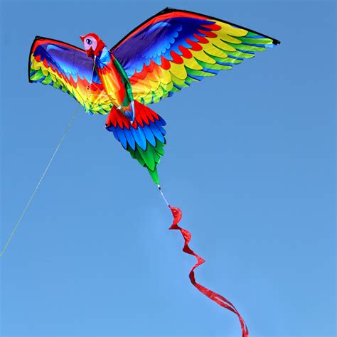 China 2020 New Animal design 3D Parrot Kite for Kids - China Kite for Sale and Bird Kite price