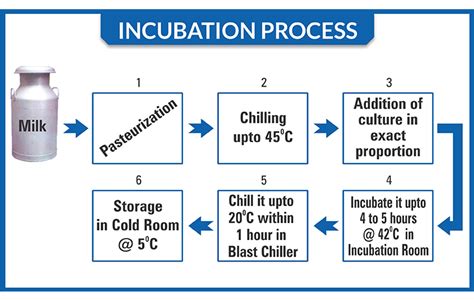 Curd Incubation Chamber - brwindia