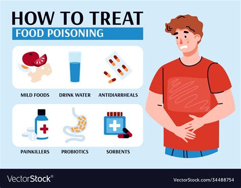 Infographic Banner How To Treat Food Poisoning Vector Image | The Best Porn Website