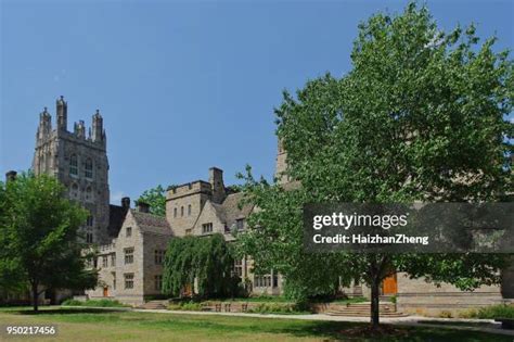 Yale University Colors Photos and Premium High Res Pictures - Getty Images