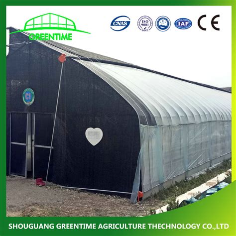 Mushroom Greenhouse Hot Galvanized Steel Metal Frame for Sale - China Multi Span Greenhouse and ...