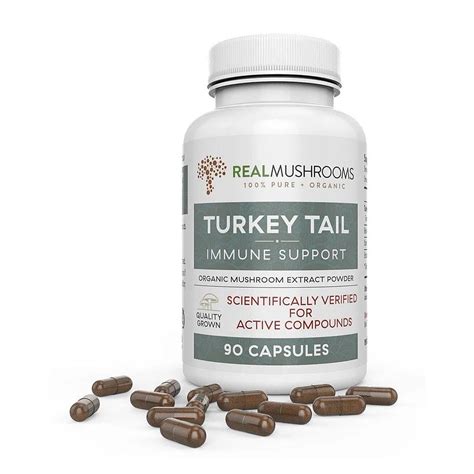 Organic Turkey Tail Extract Capsules