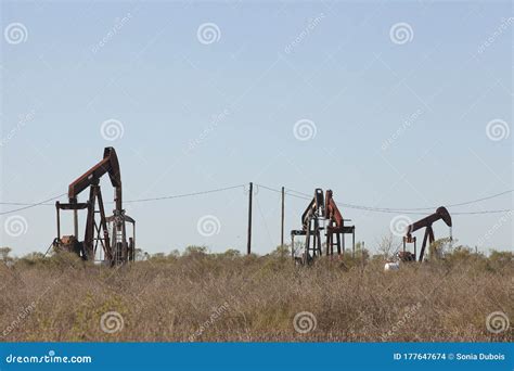 Oil Rigs in a Texas Field of Galveston, USA Stock Photo - Image of rigs, field: 177647674