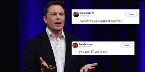 Elon Musk asked Twitter to send him their 'dankest memes' and it ...