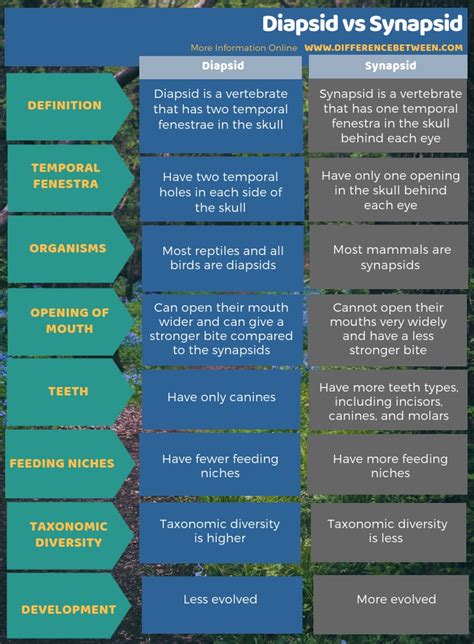 Difference Between Diapsid and Synapsid | Compare the Difference ...