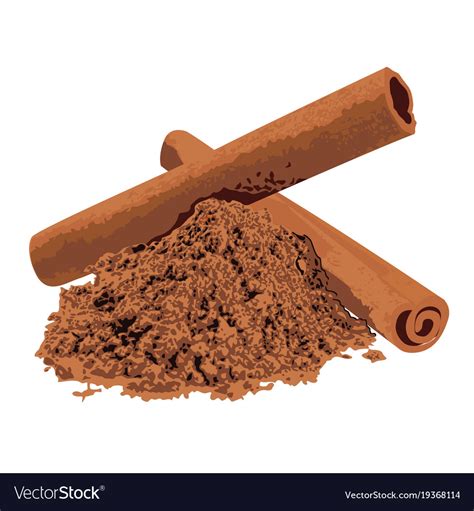 Cinnamon spice Royalty Free Vector Image - VectorStock