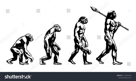 Theory of evolution of man. Human development from monkey to caveman ...