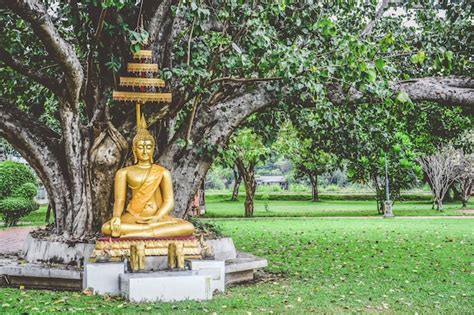 Premium Photo | Beautiful gold color buddha statue sitting under bodhi tree, peaceful ...