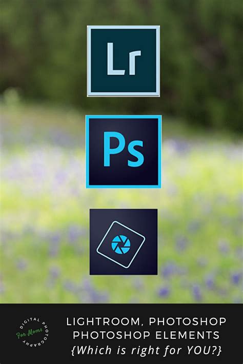 Photoshop elements vs photoshop - ngtop