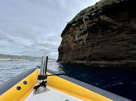 Azores Whale Watching Guide-The Best Whale Watching in Azores