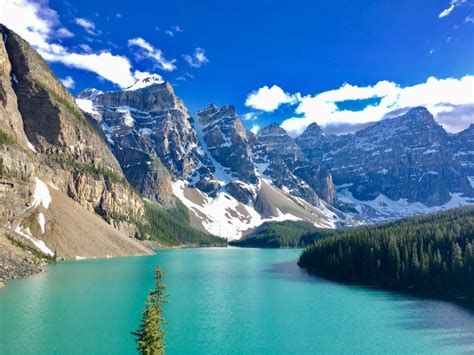 Glacier Banff 2017 - The trip where no one was eaten by a bear