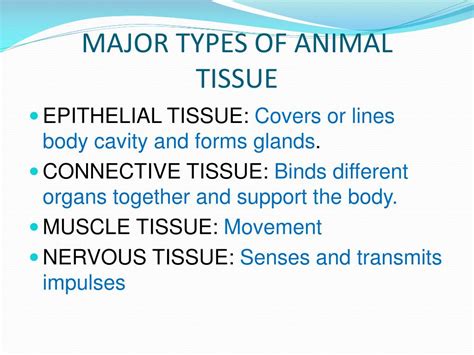 PPT - UNIT 4: ANIMAL TISSUE PowerPoint Presentation, free download - ID ...