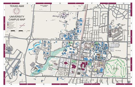 Texas A&M University Student Accommodation Guide – AmberStudent.com ...