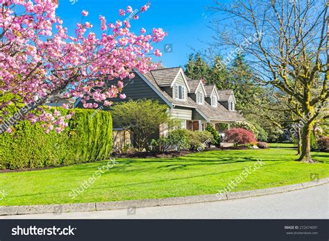 21,259 Cherry Blossom With House Images, Stock Photos & Vectors ...