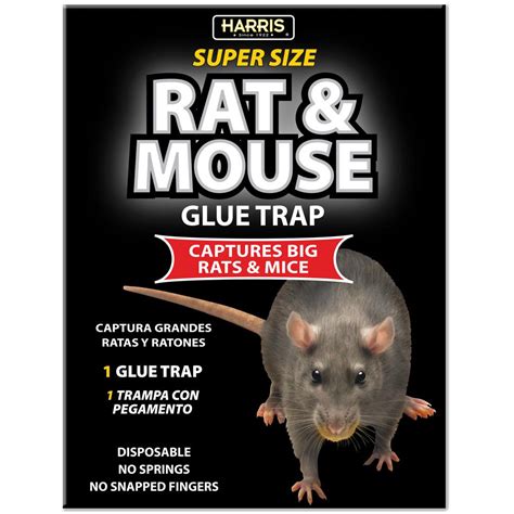 Harris Rat and Mouse Glue Trap - Super Size with Lure-BLKRAT-1 - The Home Depot