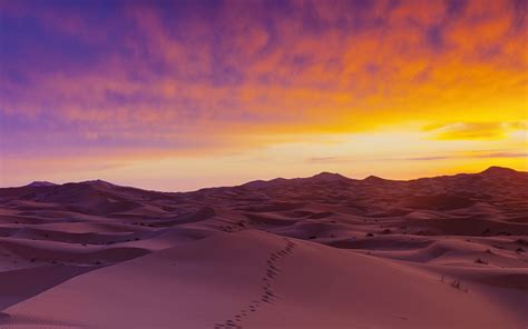 nature, landscape, sand, dunes, sky, sunset, clear sky, Sahara, desert, Algeria HD Wallpaper