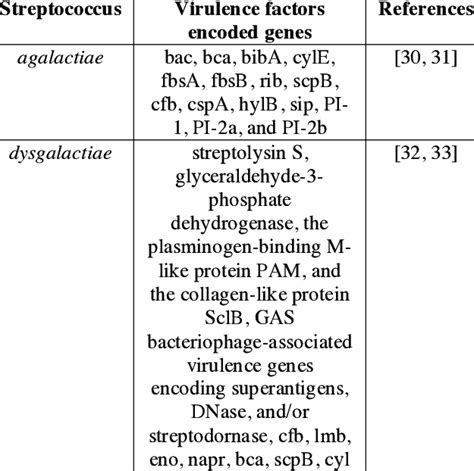 Virulence factors encoded genes of streptococcus | Download Scientific ...