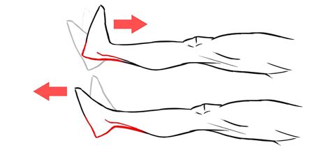 Physical Therapy Exercises for Ankle Sprains | PT-Helper