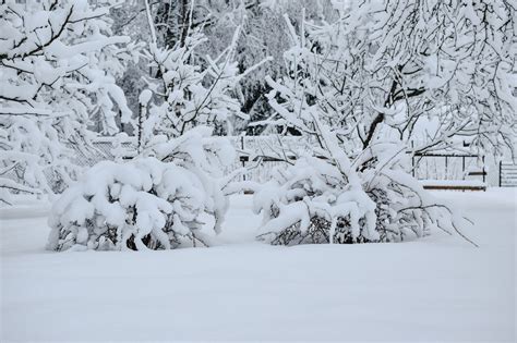 How to Care for Grass in Winter | Organic Lawns by Lunseth