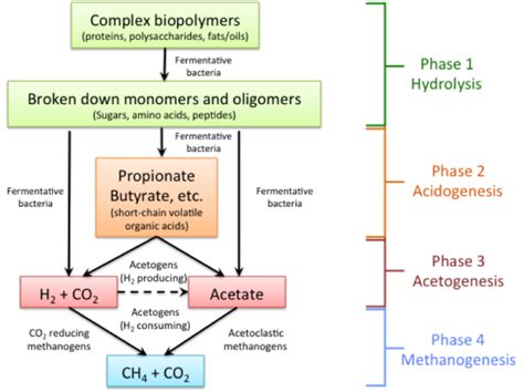 11.1 Anaerobic Digestion | EGEE 439: Alternative Fuels from Biomass Sources