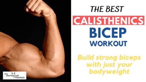 The Calisthenics Bicep Workout: 7 Best Exercises You Can Do At Home ...