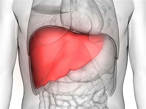 Cirrhosis: 10 Cirrhosis Symptoms