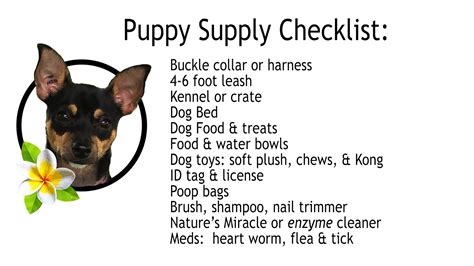 Puppy Supply Checklist – Such Good Dogs