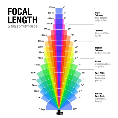 Full-Frame? Crop? Everything You Need to Know!