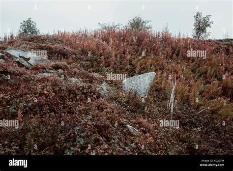 Peak district landscape in autumn/winter Stock Photo - Alamy