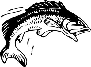 Walleye clipart 16 free Cliparts | Download images on Clipground 2024